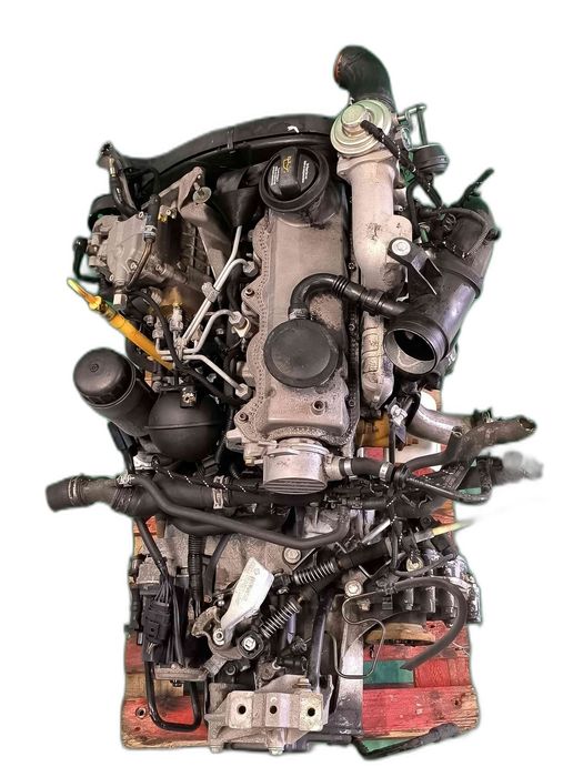 Motor Completo AUDI A3 1.9 TDI (66 kW / 90 cv) [09.1996 - 07.2001] ALH (OEM) | AHF (OEM) | ASV (OEM)