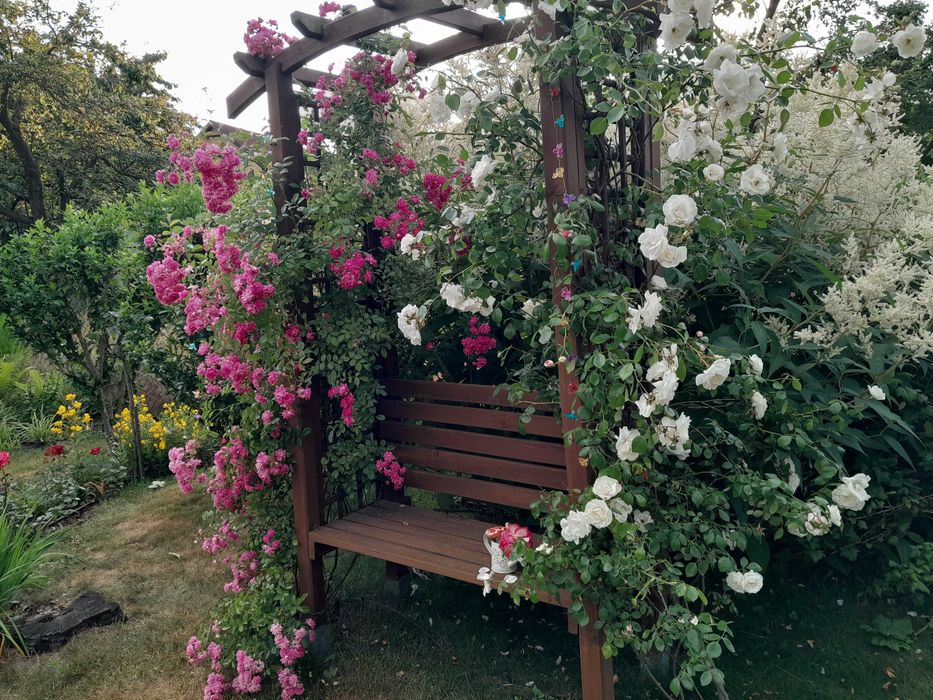 Działkę w ROD Nowe Życie sprzedam