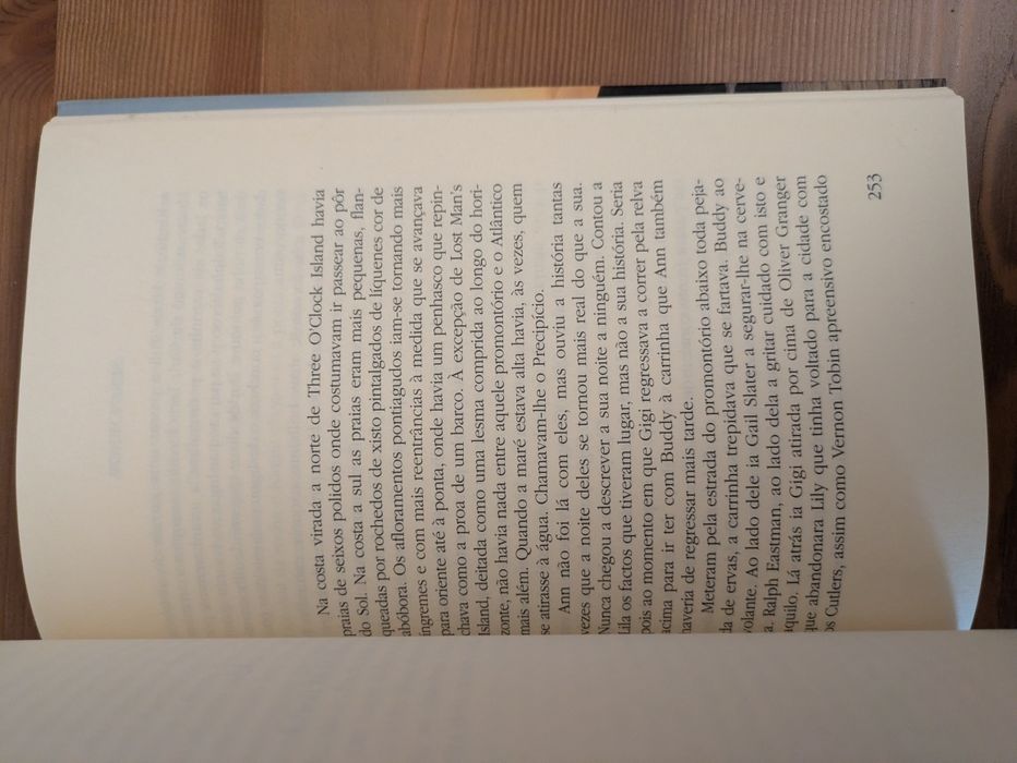 L " Ao anoitecer " Susan Minot (Optimo Estado)