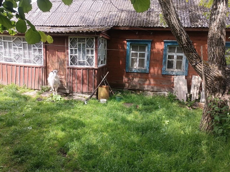 Будинок в селі Клинець Овруч