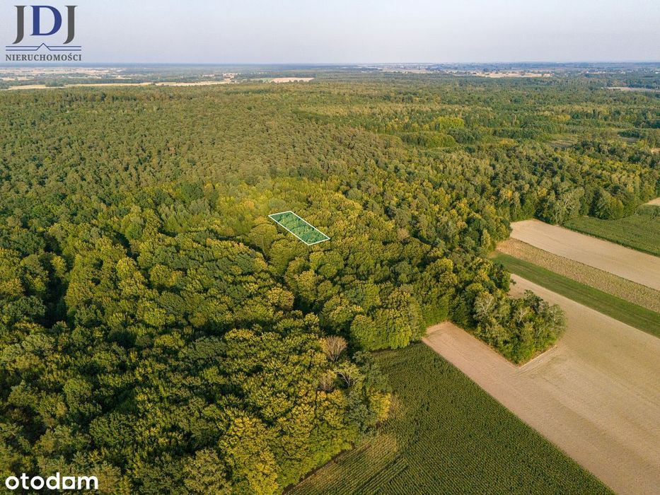 Działki O Łącznej Powierzchni  2,587 Ha - Bokinia