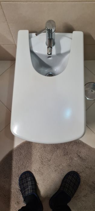 Sanita +Bidé + Lavatório  Roca Modelo Dama