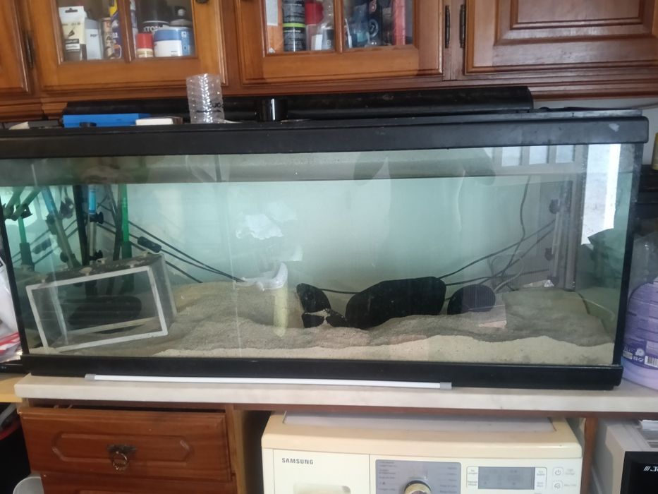Aquário 240 litros