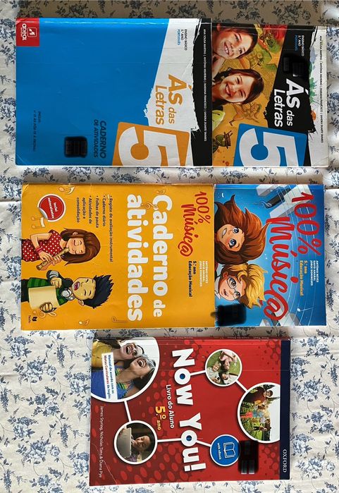 Manuais escolares 5 ano