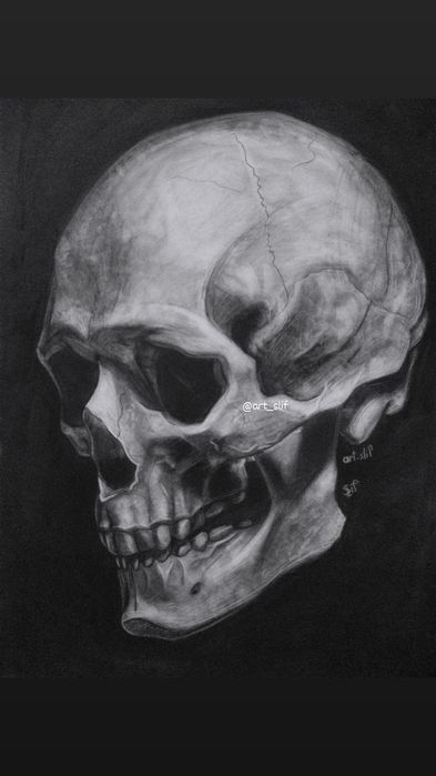 Картина "череп" рисунок на папері