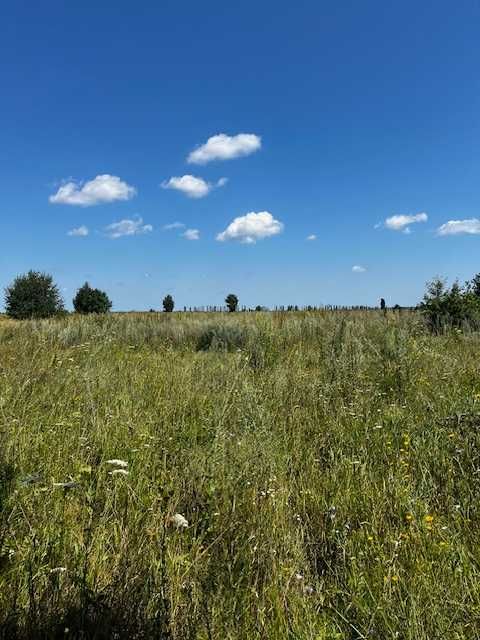 Продаються ділянки  біля села Озера Бучанського району.