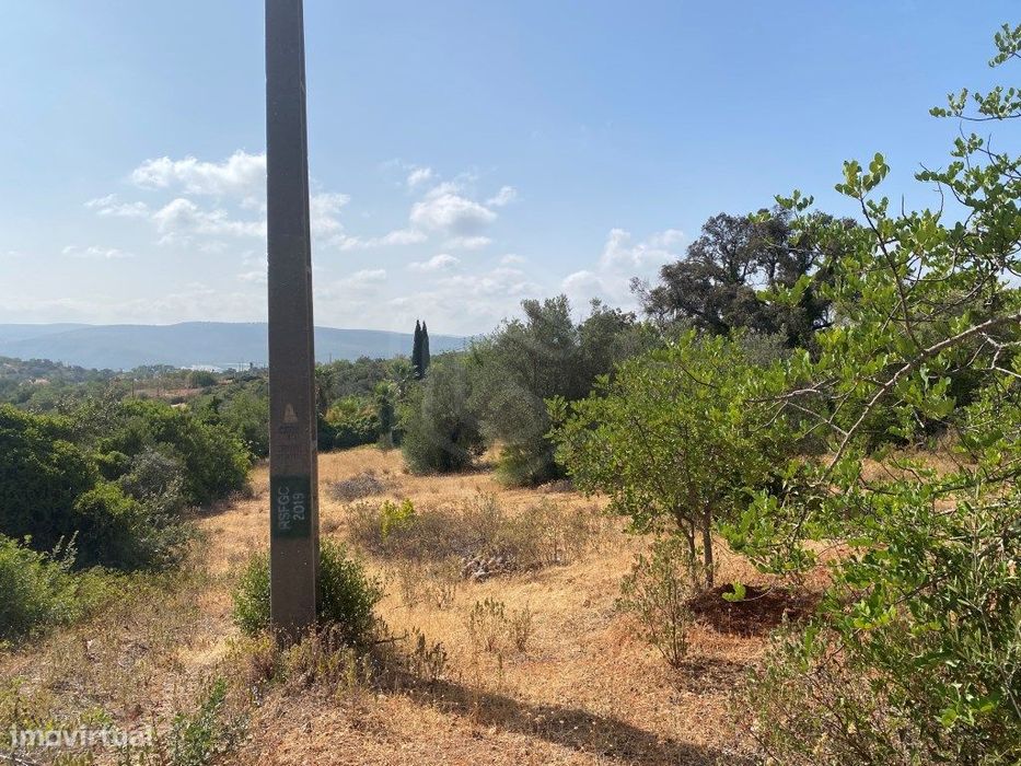 Lote de Terreno Rústico no Serro dos Passarinhos, Loulé, Algarve
