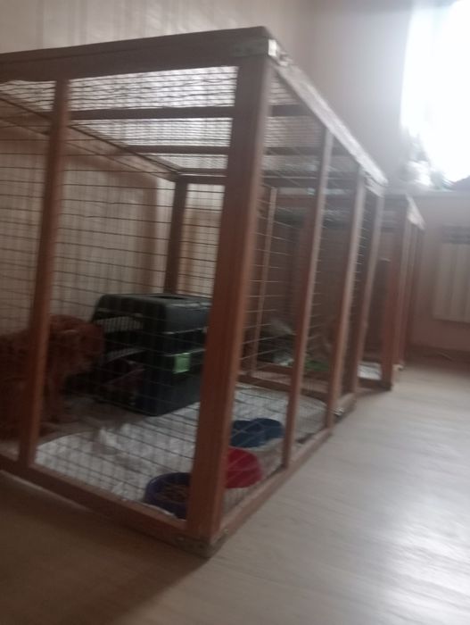 Продам бізнес перетримка собак та котиків