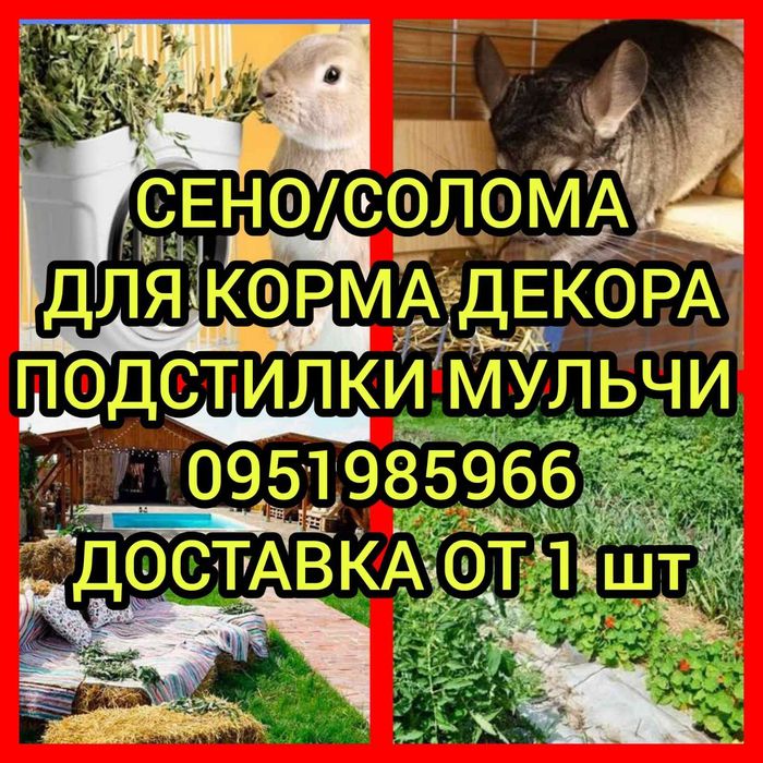 ‼️СІНО БЕСПЛАТНАЯ ДОСТАВКА  в тюках мешках (кукурузне и др), сено. В наличии‼️