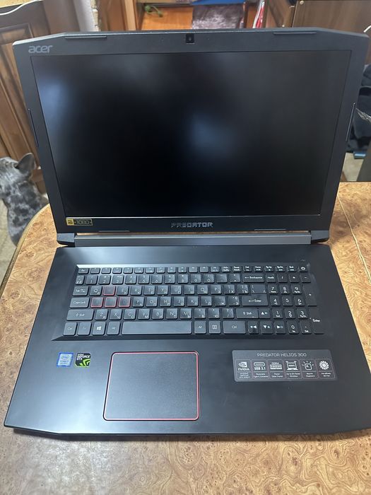 Acer Predator Helios 300