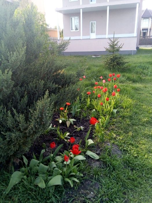 Дом в оренду. Автономное отопление и електроэнергия, от Киева 5км.