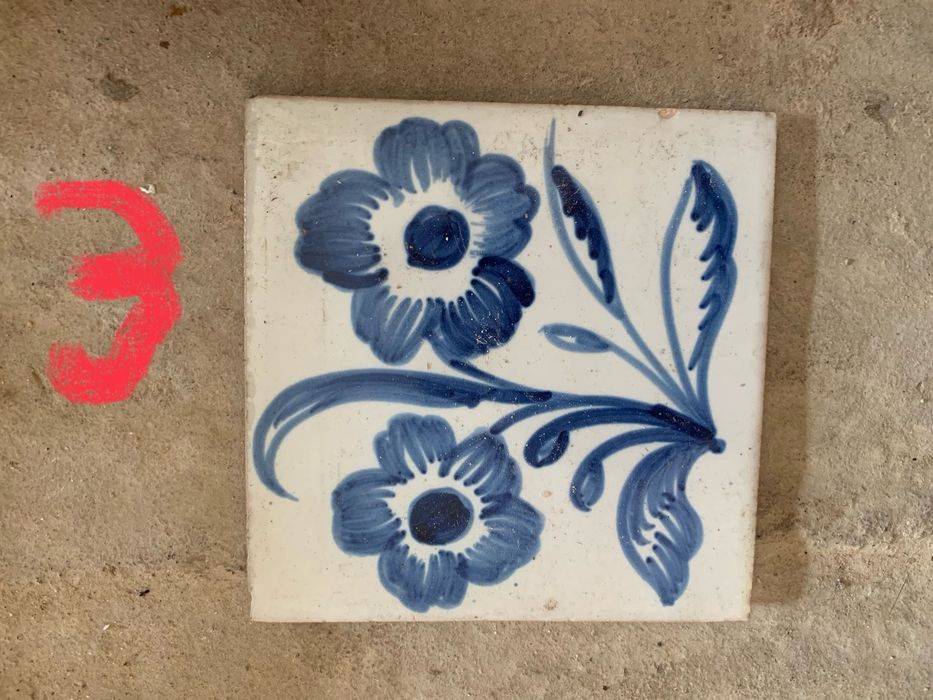 Azulejos viuva lamego novos