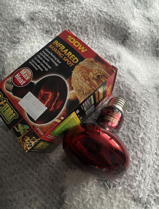 Żarówka grzewcza z podczerwienią 100W