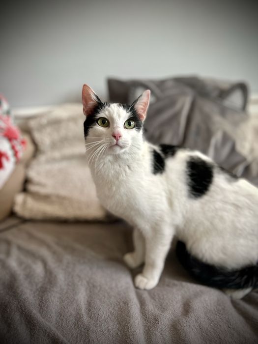 Bydgoszcz/ Cześć. Jestem Tobi…