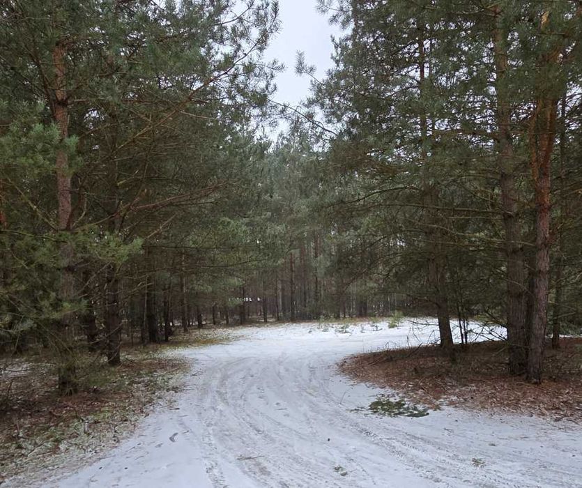 Działka rekreacyjna 2000m. Adamowo gm.Kleczew