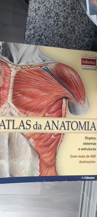 Vendo atlas de anatomia