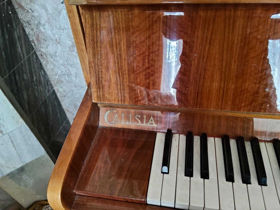 Pianino Calisia połysk