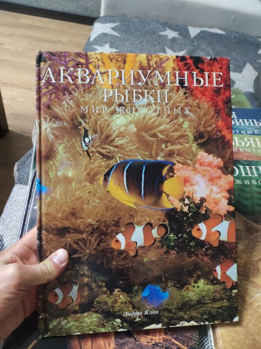 Мир животных белфакс, аквариумные рыбки и др.