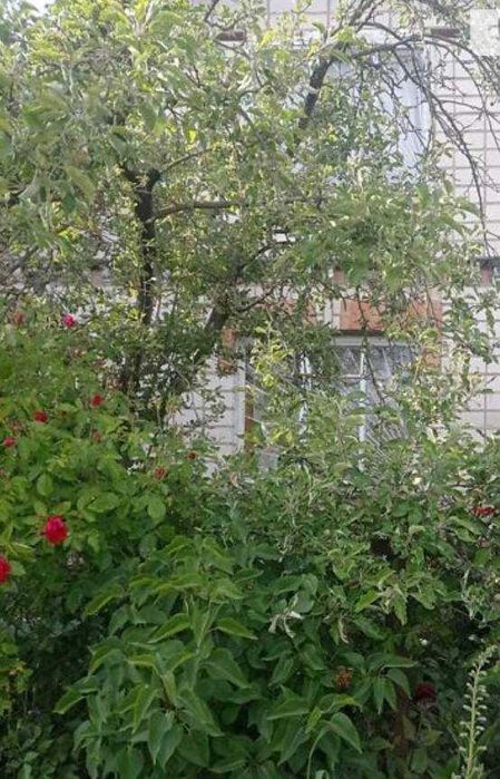 Дом по адресу ул. Магистратская (площадь 55 м²) - Atlanta.ua - фото 4