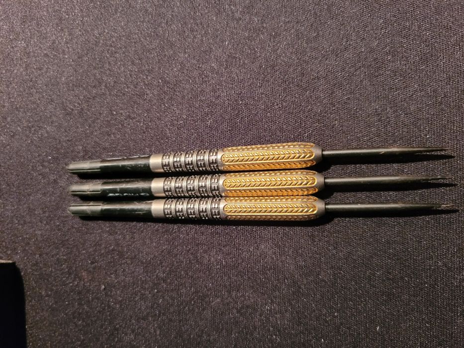 Lotki target raymond van barneveld 25 gram