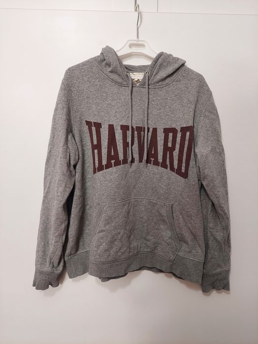 Bluza szara z długim rękawem Harvard H&M plus size EU XL
