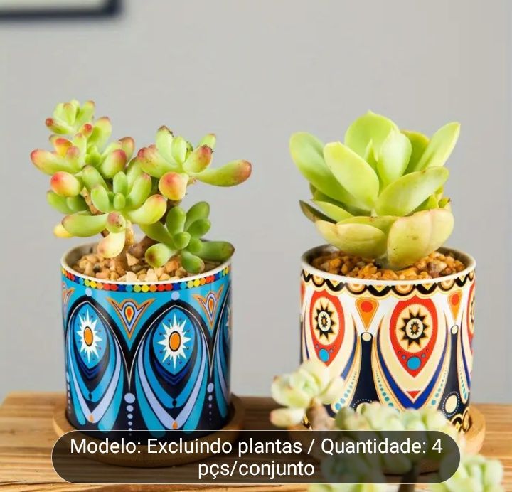 Vasinhos para suculentas