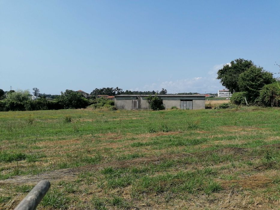 Alugo Terreno 6500m2 com anexo 100m2