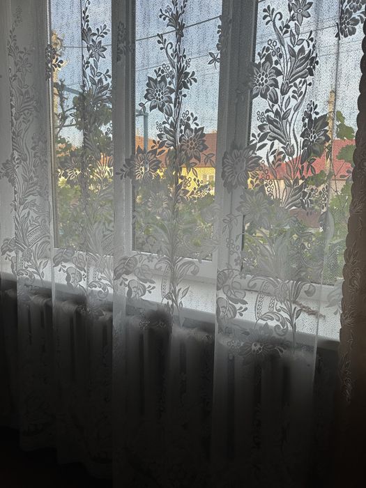 Будинок не далеко від Мукачева