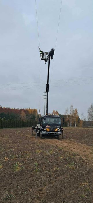 Wycinka, podcinka drzew