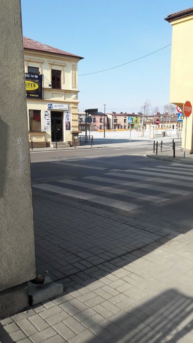 Zdjęcie 6