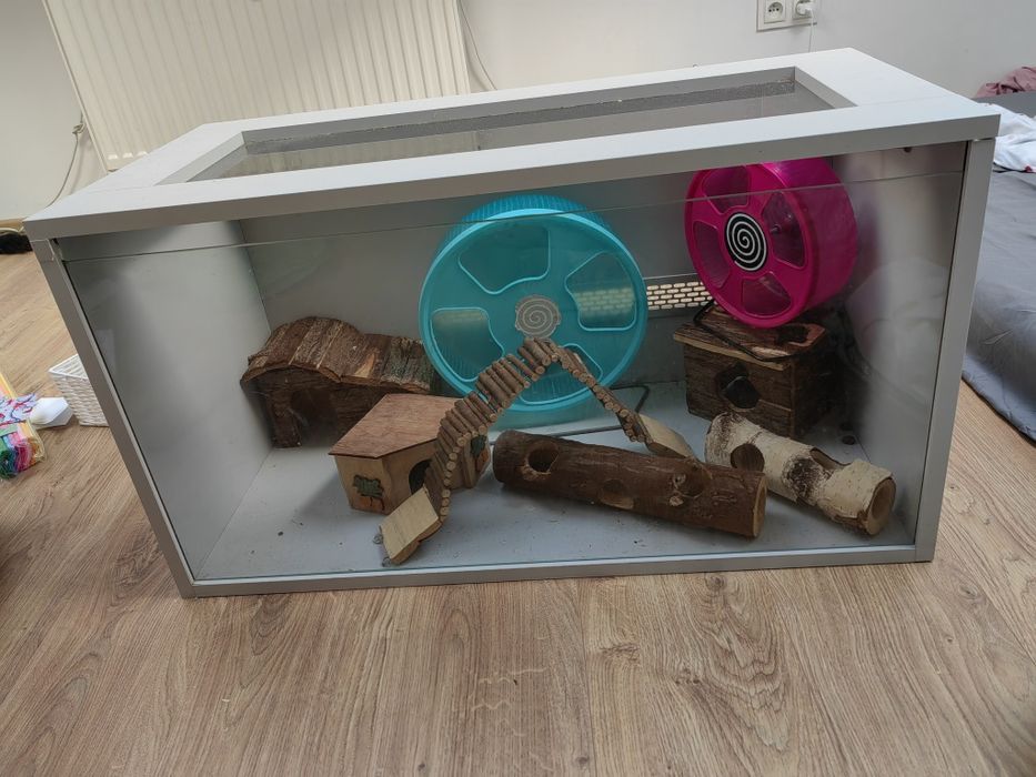 akwarium dla chomika świnki piekne otwoerane z gory