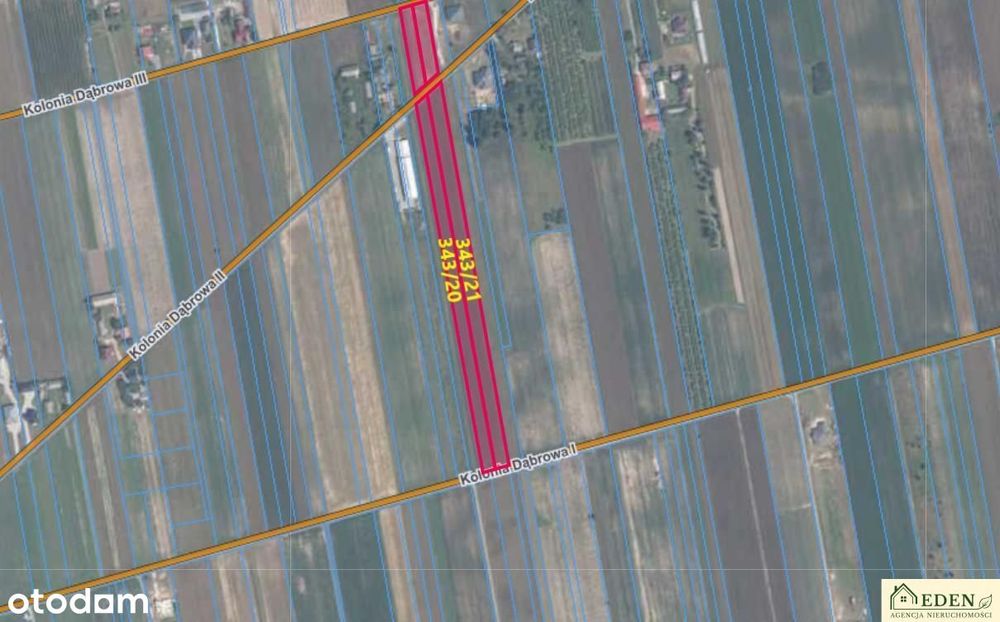 Sprzedam  działki o pow. 0,24 Ha i  1,17 Ha w Okrzei gm. Krzywda