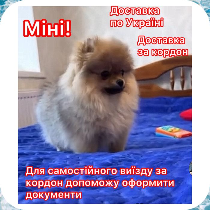 #Vip!Дуже чекає нову маму Ляльковий   міні хлопчик