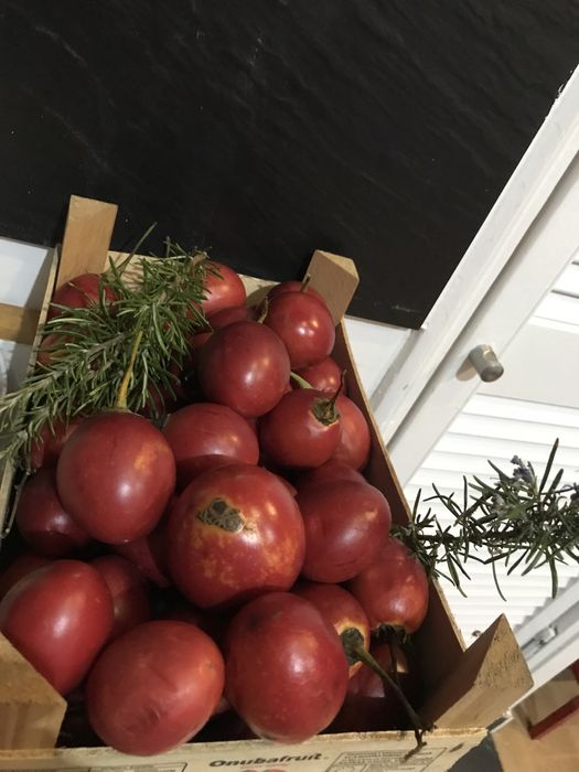 Fruta da época, Marmelos, Figos da Índia, Diospiro (mole)Nêsperas bio