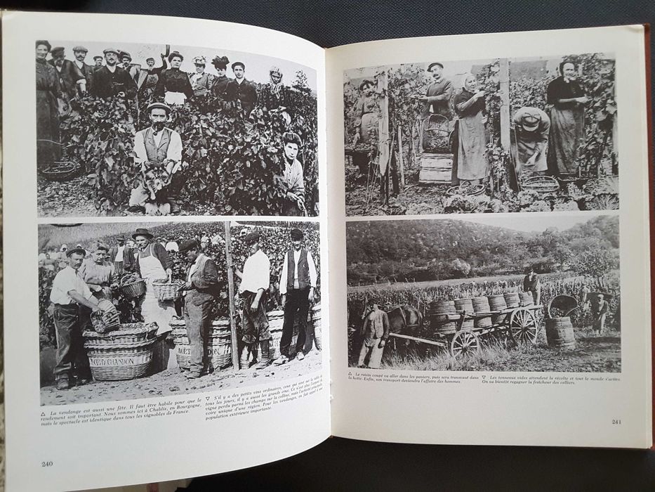 Le Temps des Paysans. Vie Rurale / Breviário do Vinho na Madeira