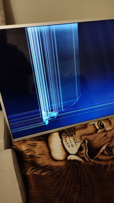 Części - Uszkodzony - Telewizor Philips 49PUS6412/12