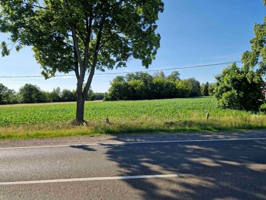 Działka inwestycyjna 1,7427 ha Stryków przy DK14 76m szerokości + Dom - Widok 2