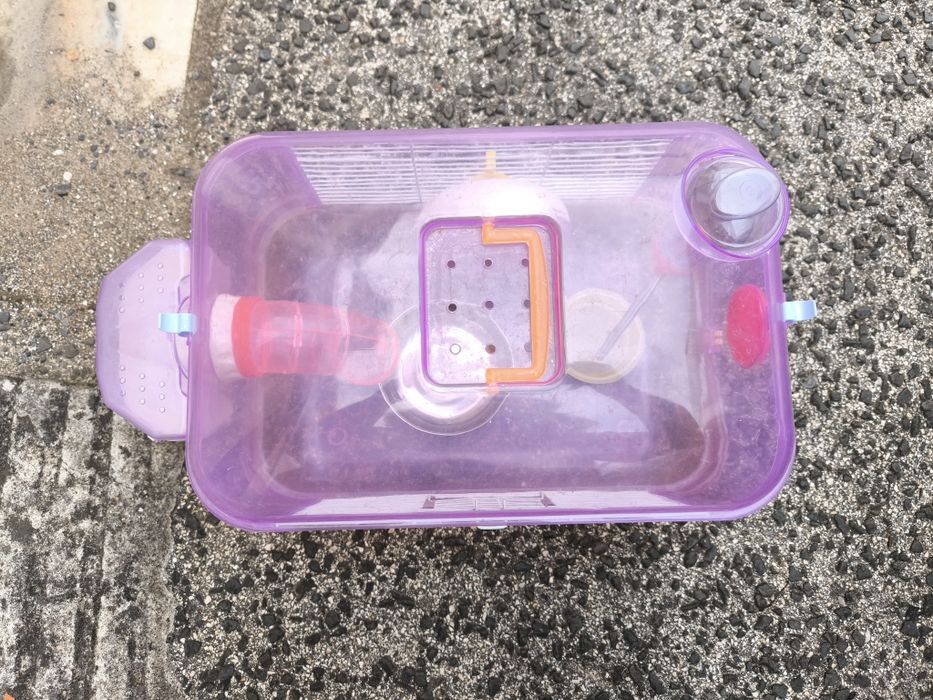 Gaiola para hamster