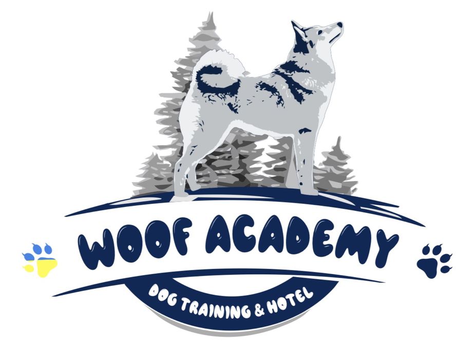 Дресирування собак, готель для собак