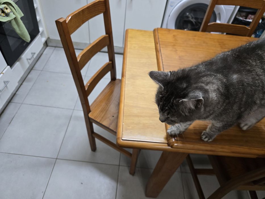 Mesa de jantar ,abre ate 2 metros com 5 cadeiras