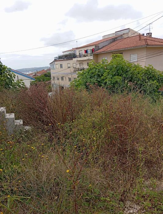 Serviço de Jardinagem