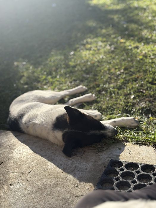 Jacuś, 8-miesięczny bąbel