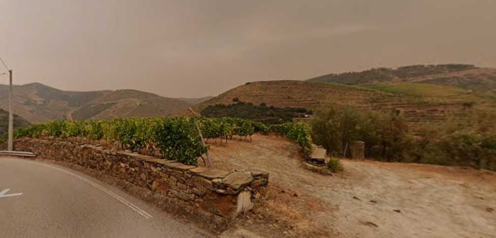 Vinha com 2,4 hectares de Benefício letra A - região DOURO