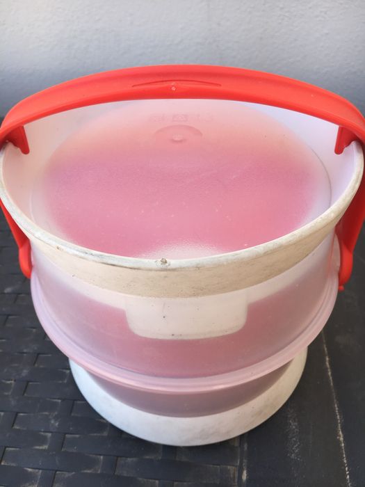 Gamelas de viagem para cão