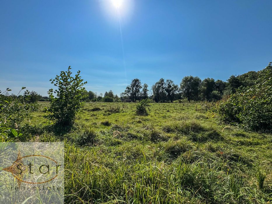 Продаж землі у Седневі  2,15 га поруч з Кротовим озером та р. Снов