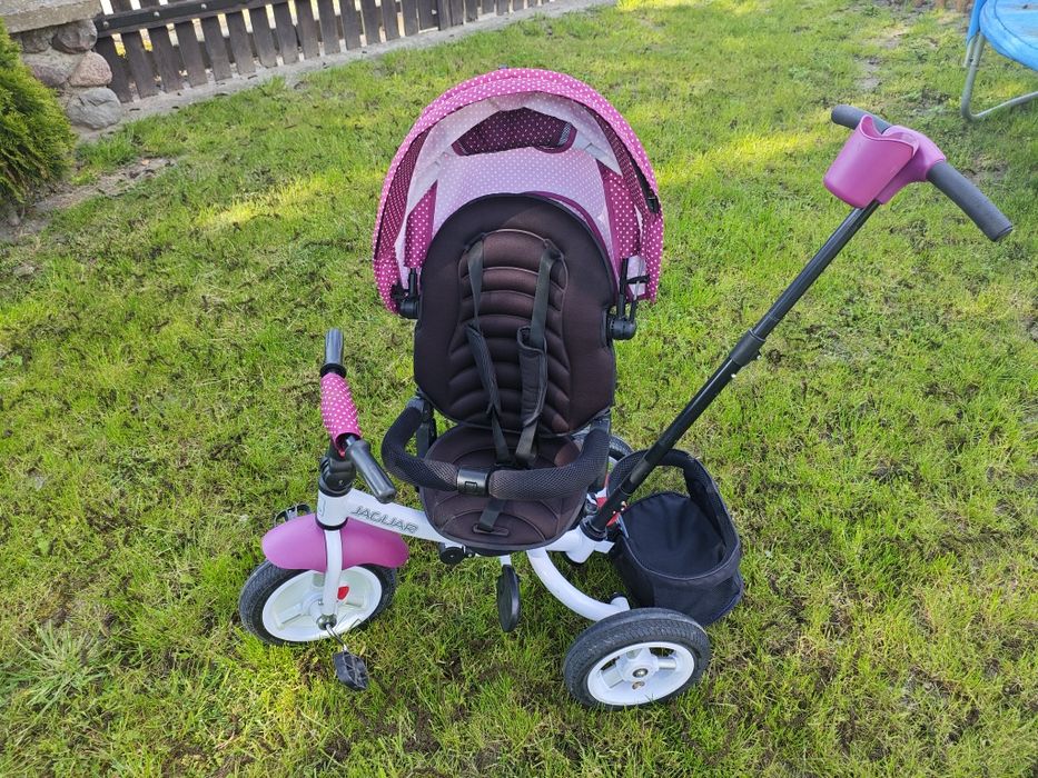 Rower trójkołowy Lorelli Jaguar. Rowerek dla dziecka