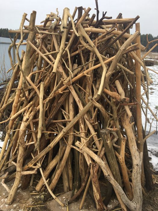 Коріння та гілки для декорування і виробів