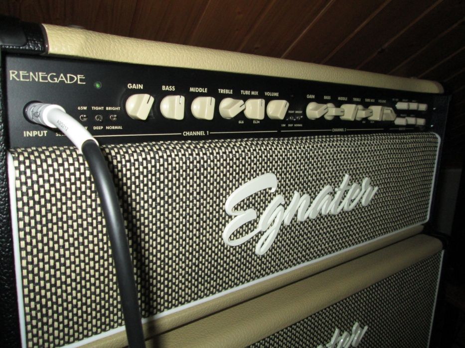 Amplificador Egnator Renegade Head
