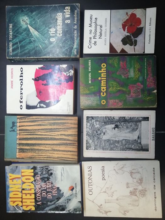 Livros literatura portuguesa viagens