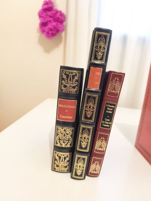 Vários livros de coleção